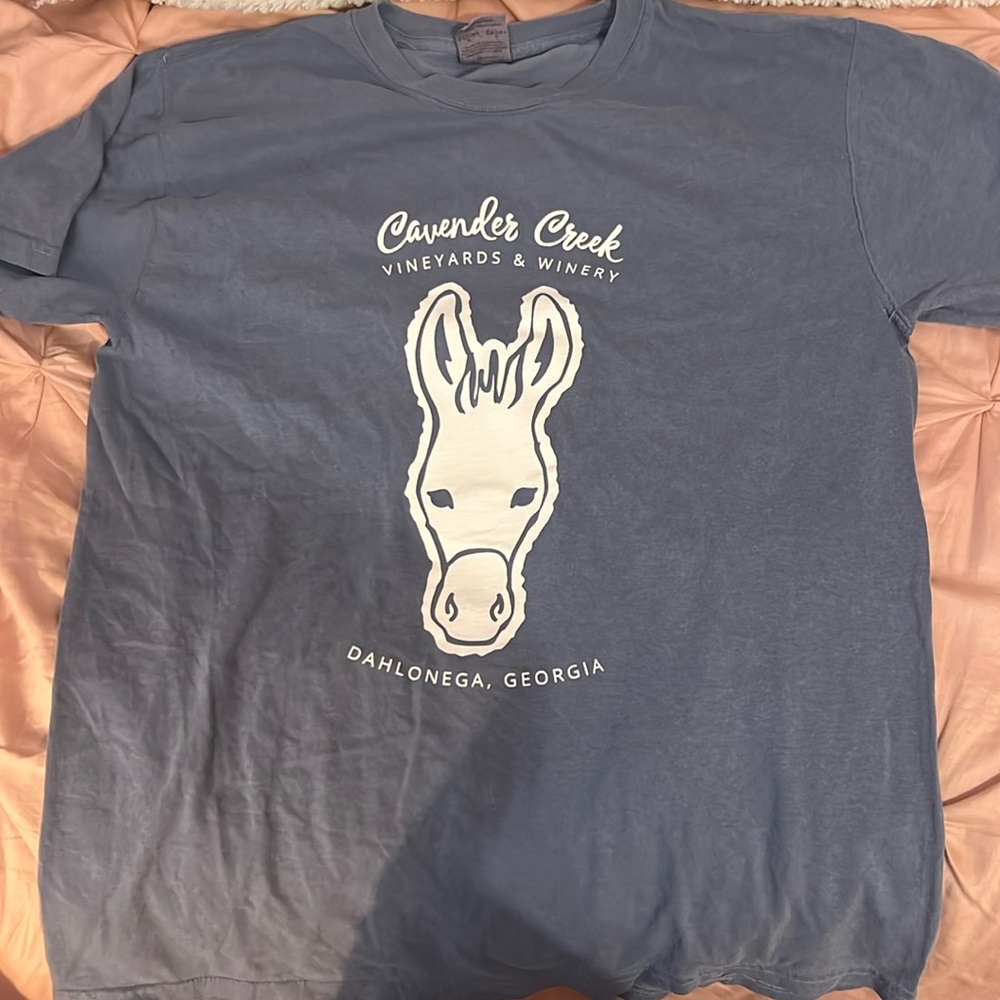 blue tee shirt with design